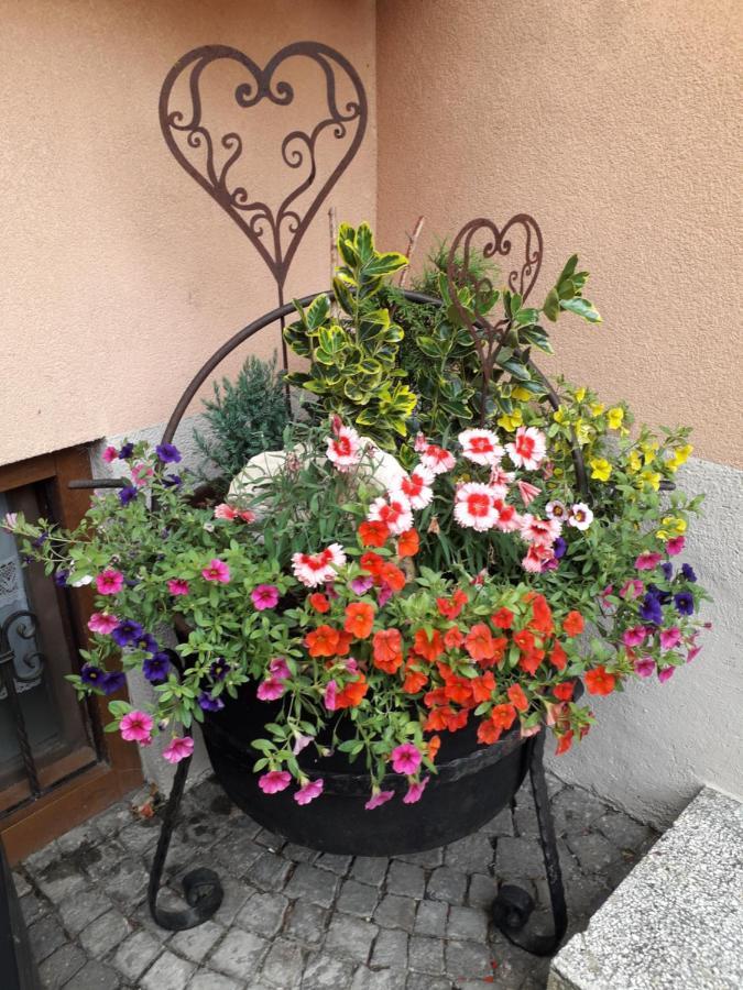 Casa Scalet Apartment